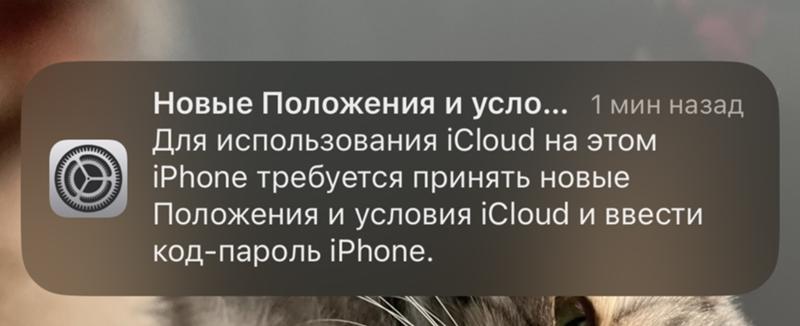 Как принять новые положения и условия icloud. Как принять новые положения и условия icloud
