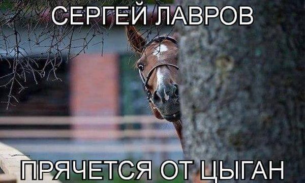 Суд по делу об убийстве Немцова допросил первого свидетеля - Цензор.НЕТ 9013
