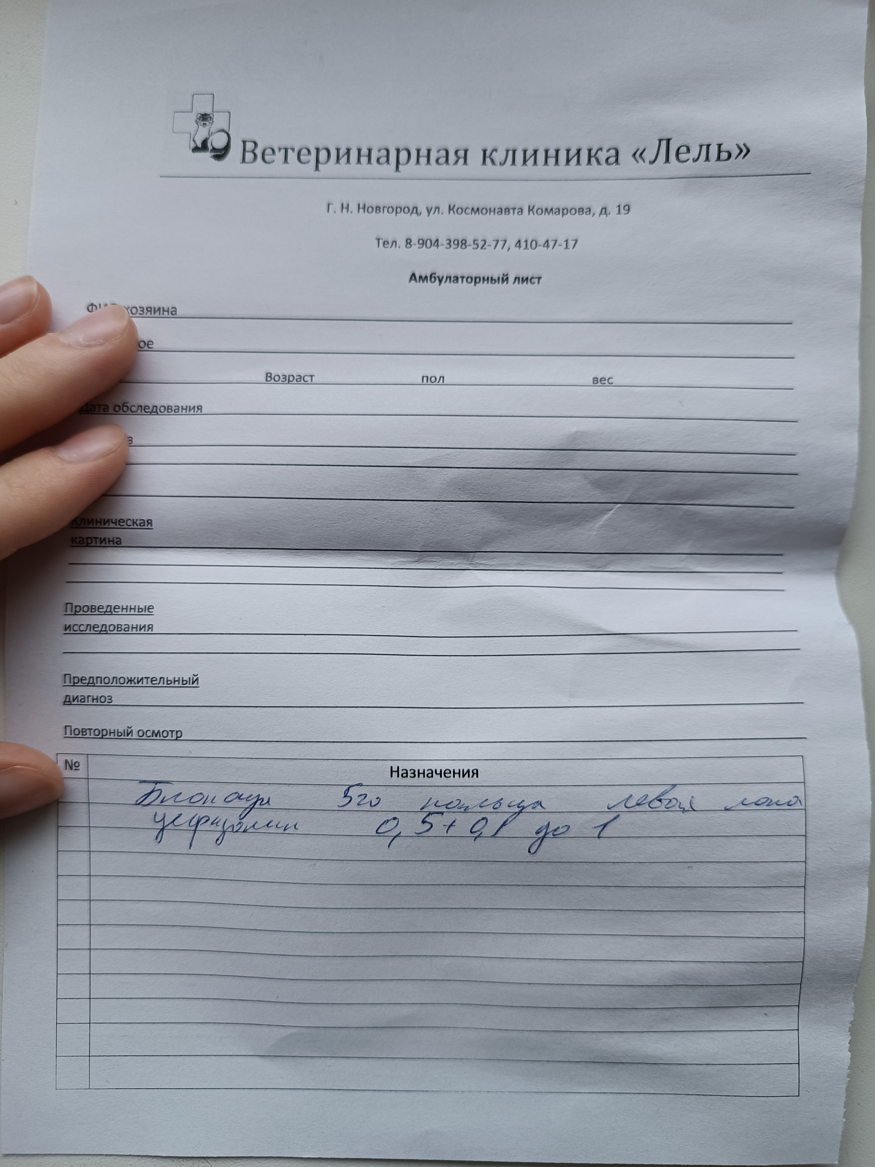 Изображение