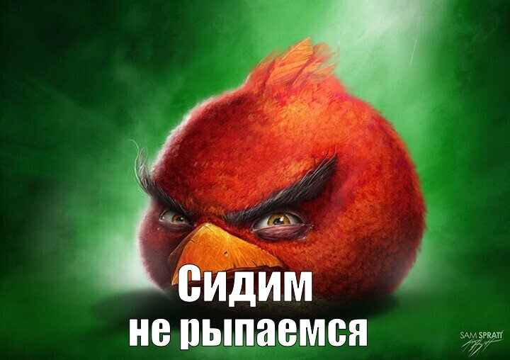 Ответы Mail: Что означает сидим не рыпаемся, копим элик, и еще что ...
