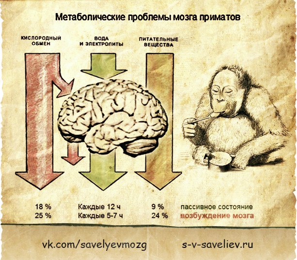 Активность мозга во сне. Работоспособность мозга. Воздействие тока на мозг. Как понять что проблемы с мозгом. Сужение сосудов головы симптомы.