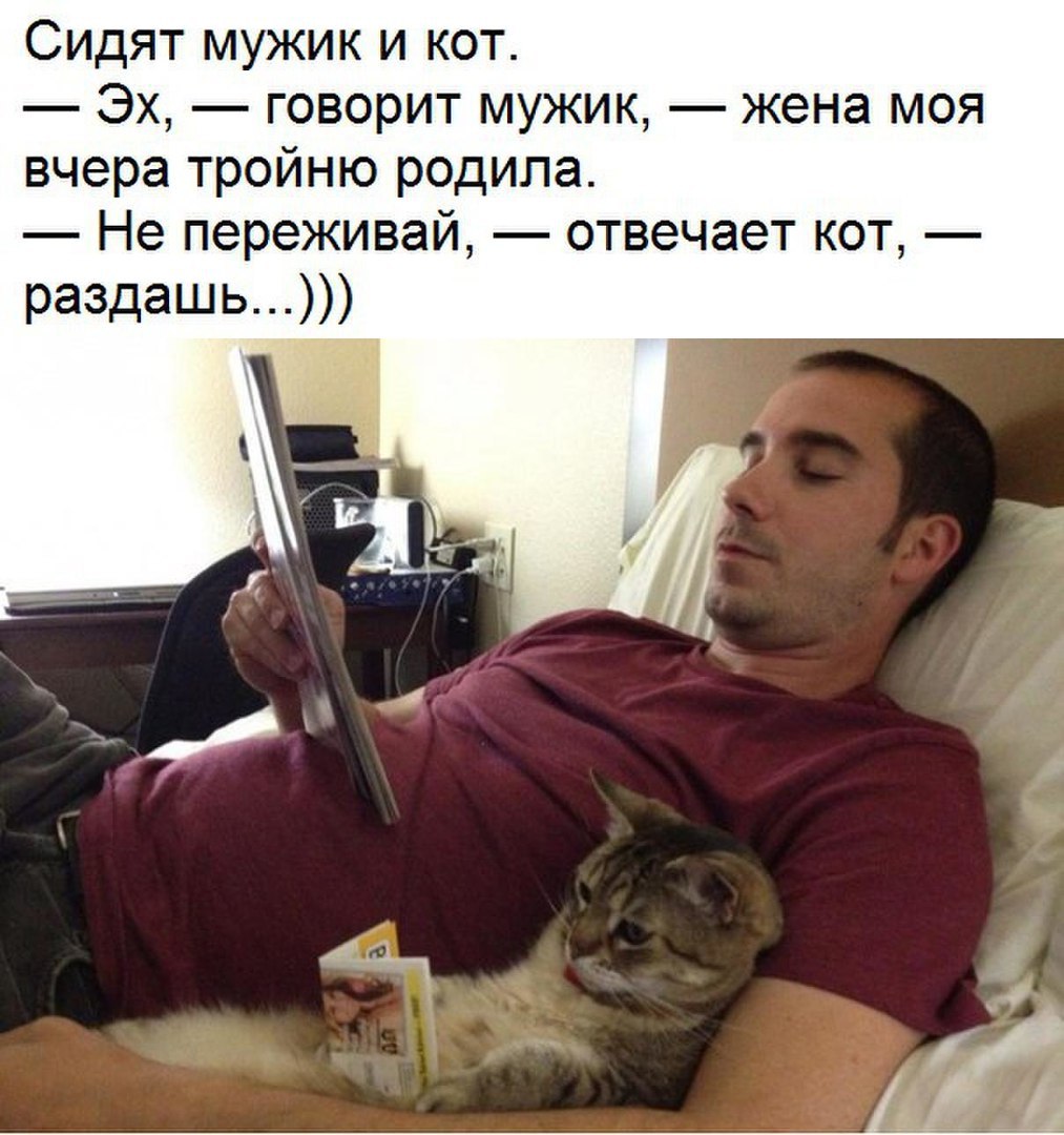 Мужик с котом мем