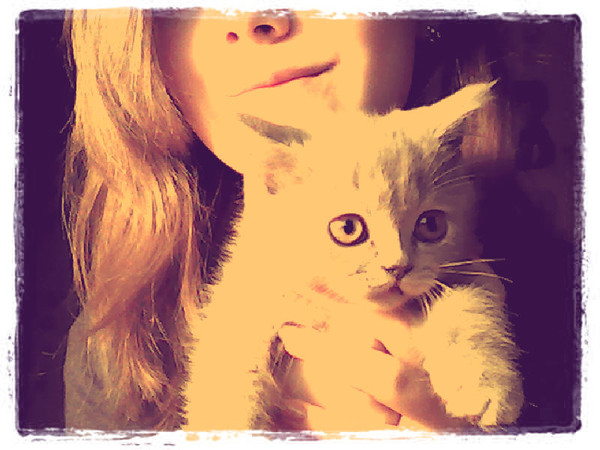 девушка называет котом. девочка зовет котенка. девушка называет котом. шутки про котиков. как зовут котика шелли.