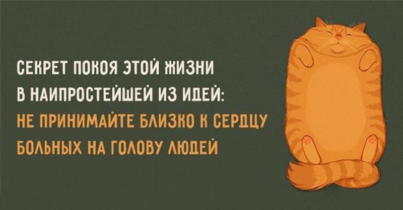 Прикольные картинки о спокойствии, картинки