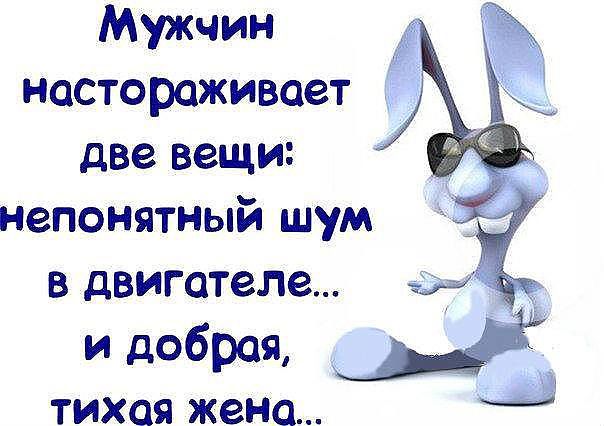 Картинки прикольные смешные с надписями про жизнь со смыслом мужчине, лену картинки прикольные