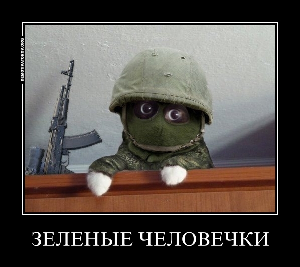 Мем с котом в каске