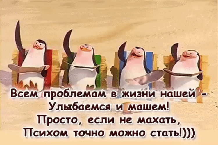 Пингвины улыбаемся и машем фото