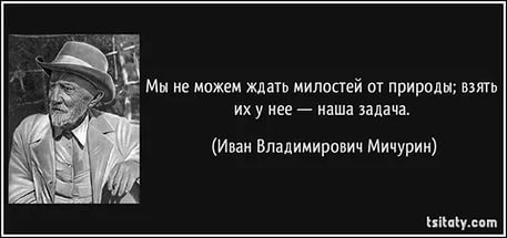 33777113_8915be59beeea7920449dc5770f39f1