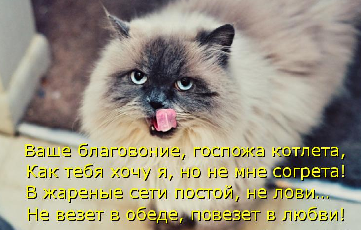 Картинки не везет, картинки аватарку