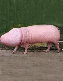 34950813e4be178fa7d6380d050da340_i-1493.