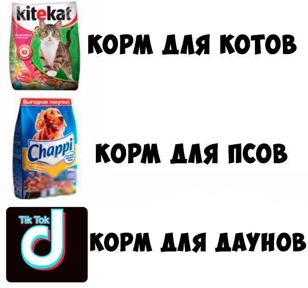 Популярные мемы из тик тока 2025