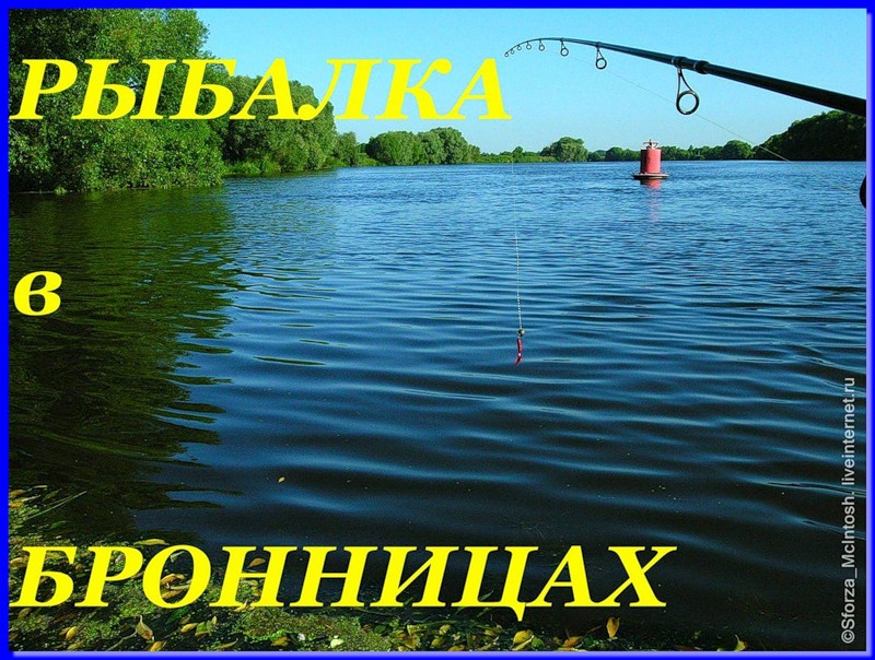 ловить рыбу в бронницах ловить рыбу в бронницах