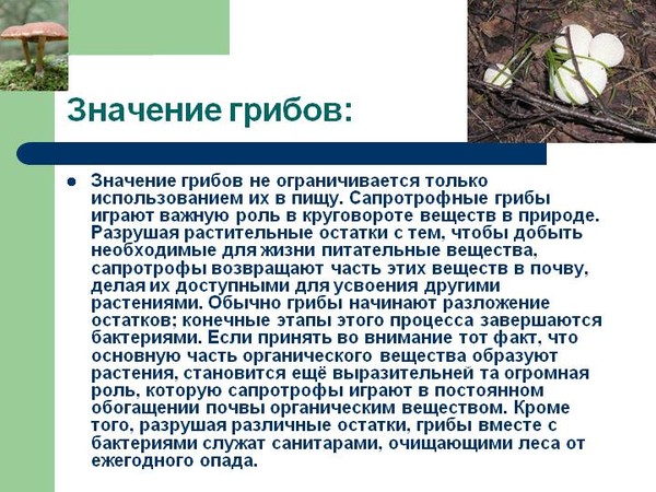 Ответы Mail.ru: задали по биологии составьте схему роль грибов в жизни природы и
