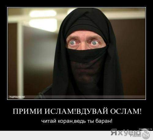 Ислам прикол картинки