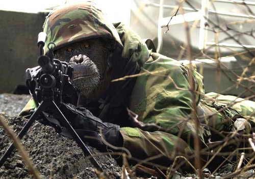 Ответы Mail.ru: А кто такие "оборотни в погонах"?