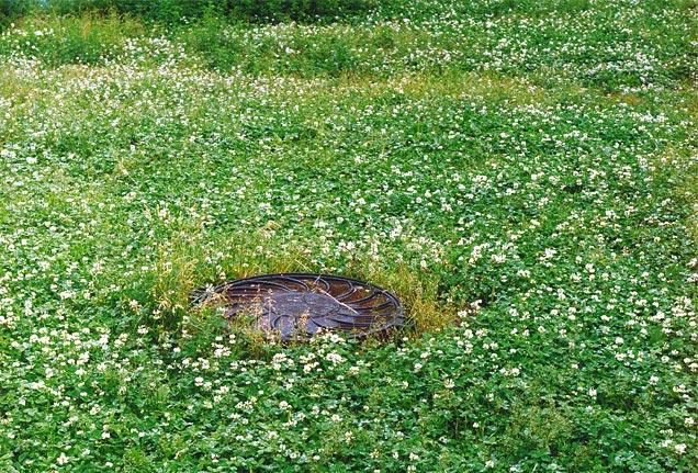 открытый люк. крышка люка. люк в поле. самые большие картины в мире от художника стэна херда. декоративная лючок на поле.