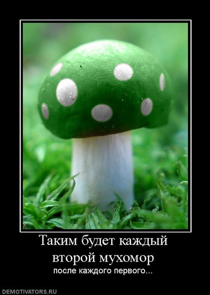 Юмор Про Грибы Картинки