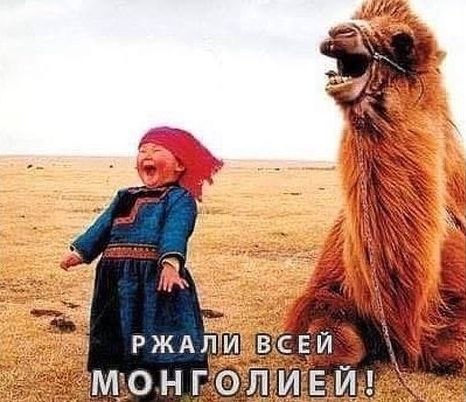 От Васильевой: Потери в Сирии 160 ТУ в день, смялись дети и верблюды Монголии От Васильевой: Потери в Сирии 160 ТУ в день, смялись дети и верблюды Монголии