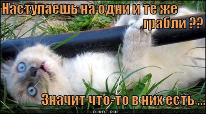 3963947_ed14fc04ac4c64ff0820664d279d3dc3_800.jpg