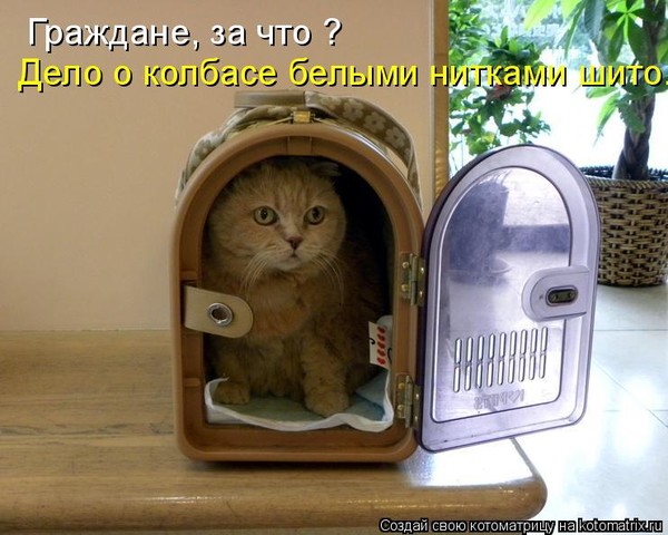 Дело шьют белыми нитками Дело шьют белыми нитками