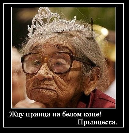 услуги картинка сижу жду принца что при