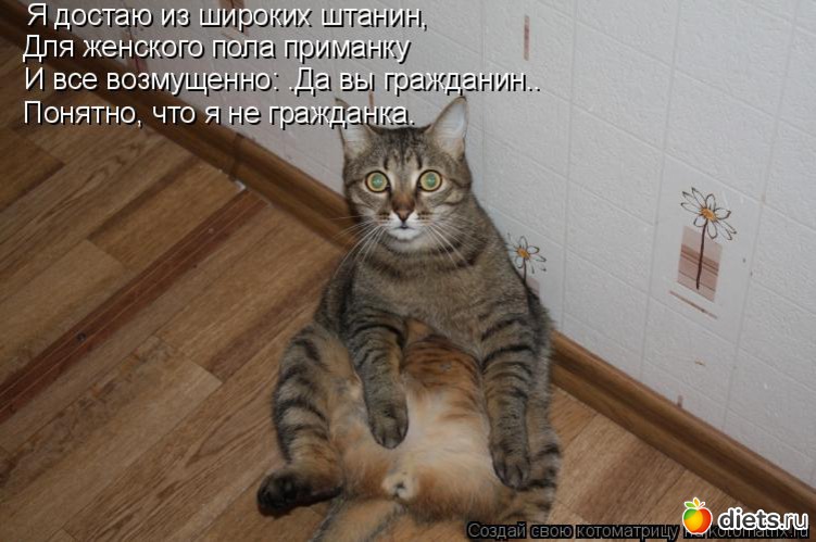 Я достаю из широких штанин открытка, прекрасного вечера вам
