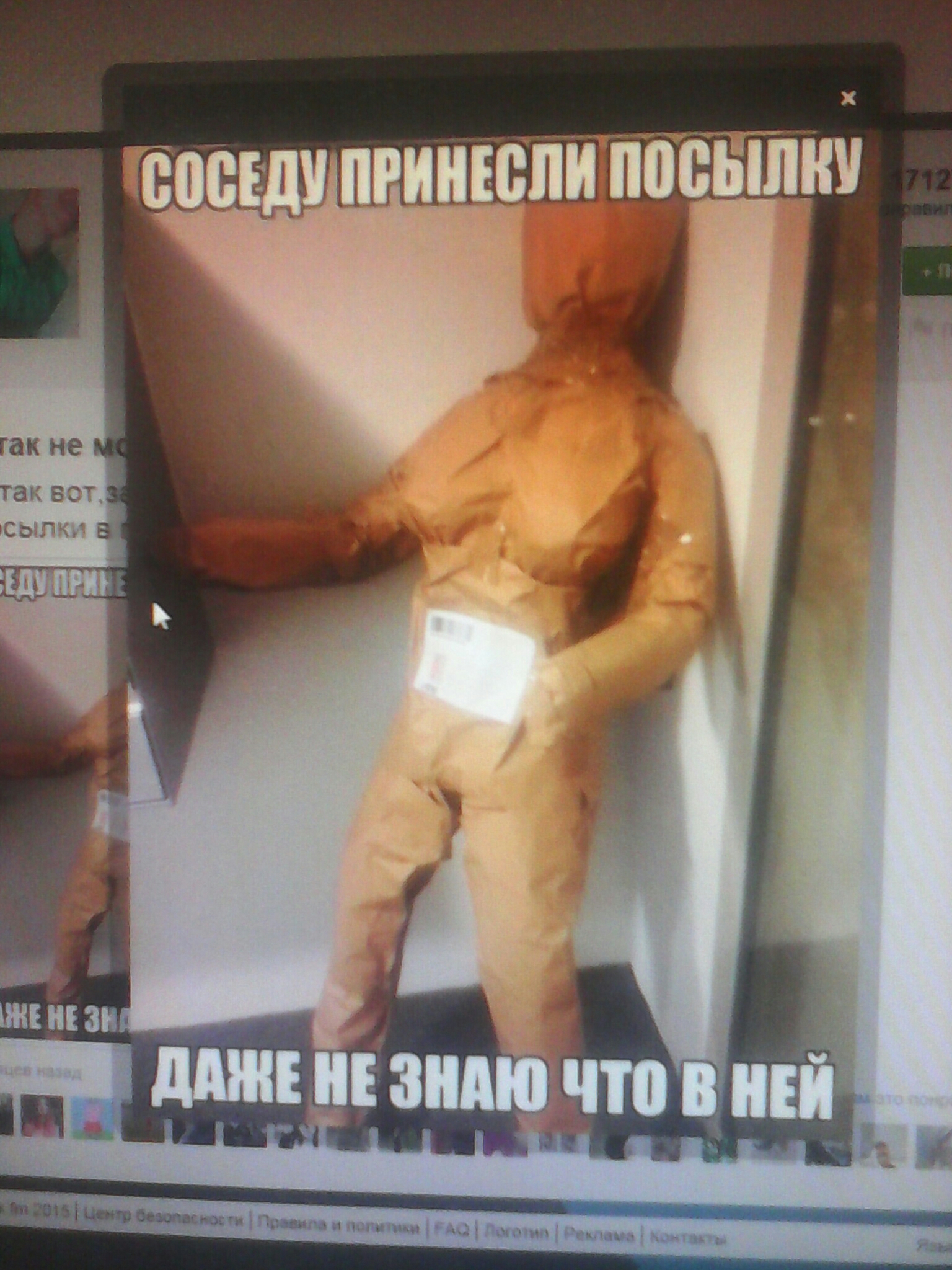 Porno kon ebet devushku