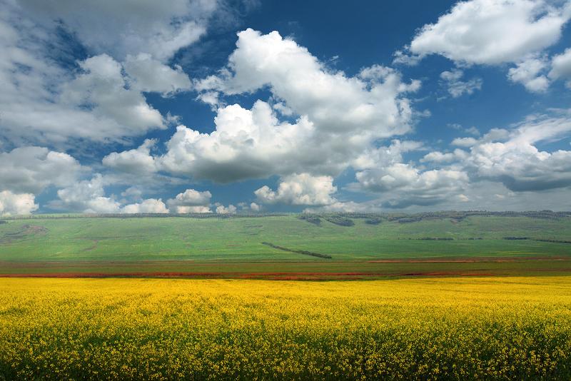 Нет чего поля или поле. Русское поле. поле фото. в поле. поля татарстана.