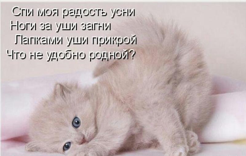 Открытка спи моя радость усни
