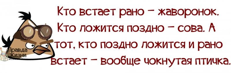 Картинками, сова или жаворонок картинки прикольные