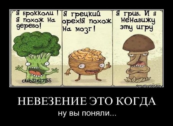 4205b89439bcf3bbc787c8d53e35f709_i-2166.