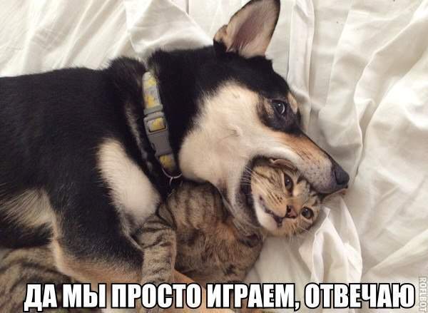otlizal-mamki-priklyucheniya-na-svoyu-zhopu-chastnoe