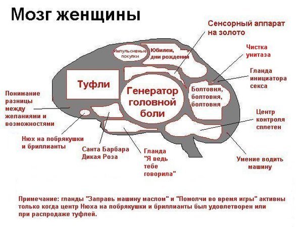 muzhika-boltovnya-vo-vremya-seksa-zhmzh-video-porno
