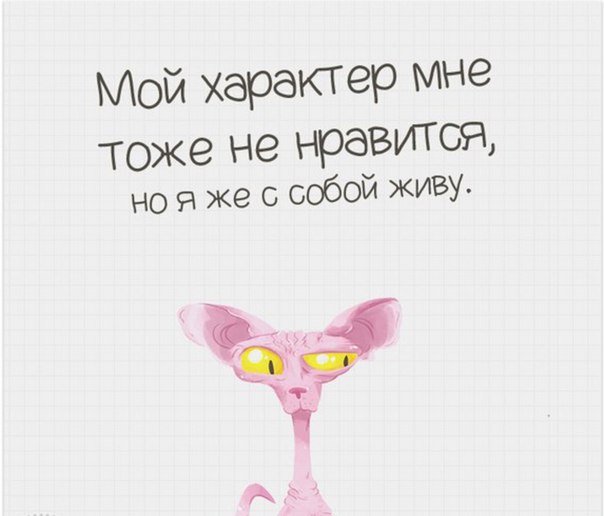 Мура картинки, открытка если я тебе не пара и характер не такой