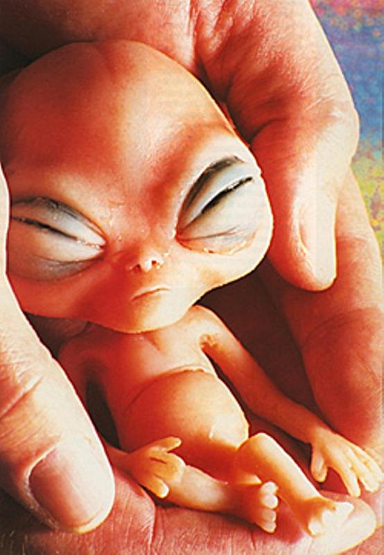 "What does an alien from mars really ." - image created in Shedevrum