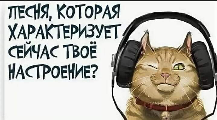 Смешные опросы в картинках