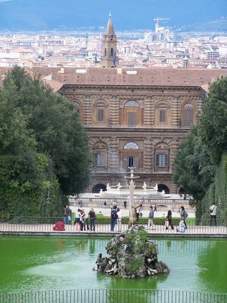 medici viewing guide3 medici viewing guide3