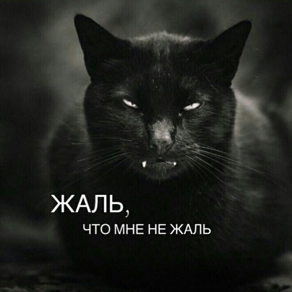 Открытки мне тебя жаль