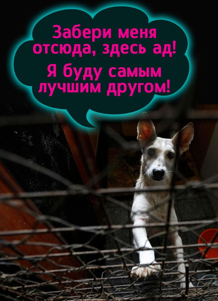 УВЕЗИ МЕНЯ ОТСЮДА ЭЙ ТЫ ГОНЩИК СКАЧАТЬ БЕСПЛАТНО УВЕЗИ МЕНЯ ОТСЮДА ЭЙ ТЫ ГОНЩИК СКАЧАТЬ БЕСПЛАТНО