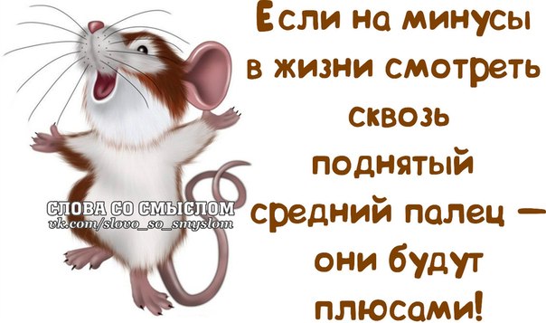 Пусть, юморные картинки с надписями о жизни и поднятия настроения