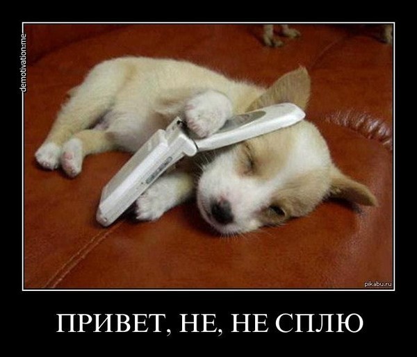 приколы для мобильного телефона дорогой ты спиш приколы для мобильного телефона дорогой ты спиш