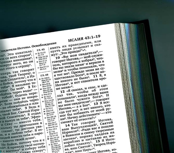священное писание свидетелей иеговы. священное писание свидетелей иеговы. священное писание перевод нового мира. библия свидетелей иеговы. чтение священного писания.