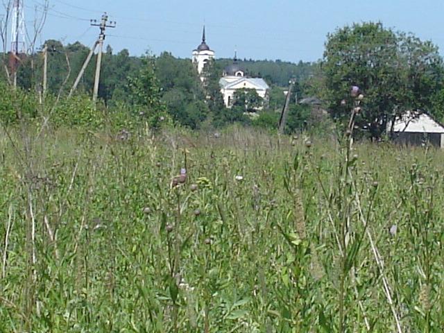 Новопетровск нудоль. Нудоль улица футбольная дом 4. Нудоль улица футбольная дом 4. Аквамарин дача. Нудоль улица футбольная дом 4.