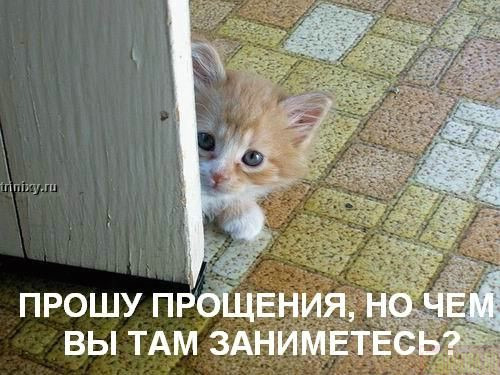 Смешные подруге, ну как ты там открытки