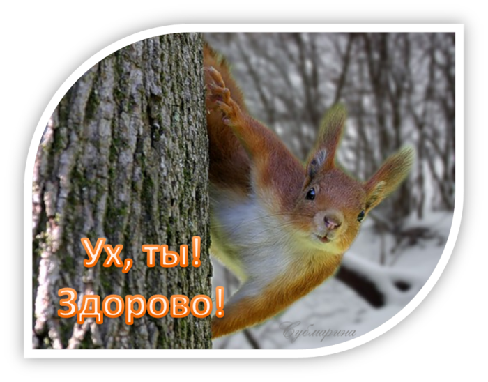 Картинки все здорово