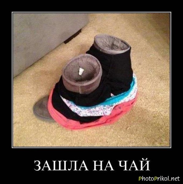 https://otvet.imgsmail.ru/download/478139093ffb43e5656cf7884fffb771_i-1806.jpg