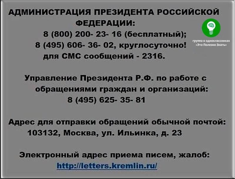 Написать письмо президенту России Отправить открытое
