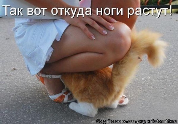 благоприятный всунул тете между ног собой плоскую или