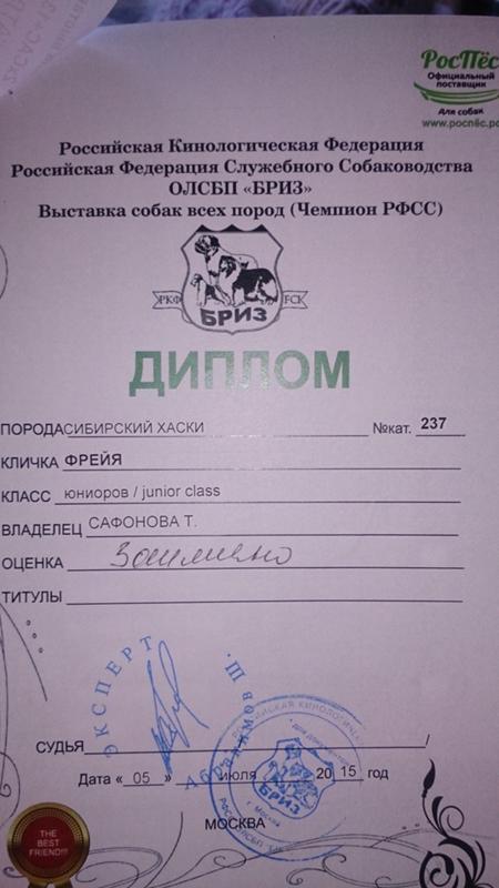 Cw титул собаки. Ранги выставок собак. Титулы собак на выставках ркф. Сертификат с выставки собак. Титулы собак и их расшифровка.