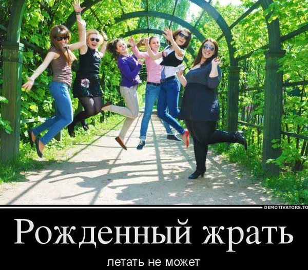 Налоги живи, картинки приколы смешные с надписями про толстых